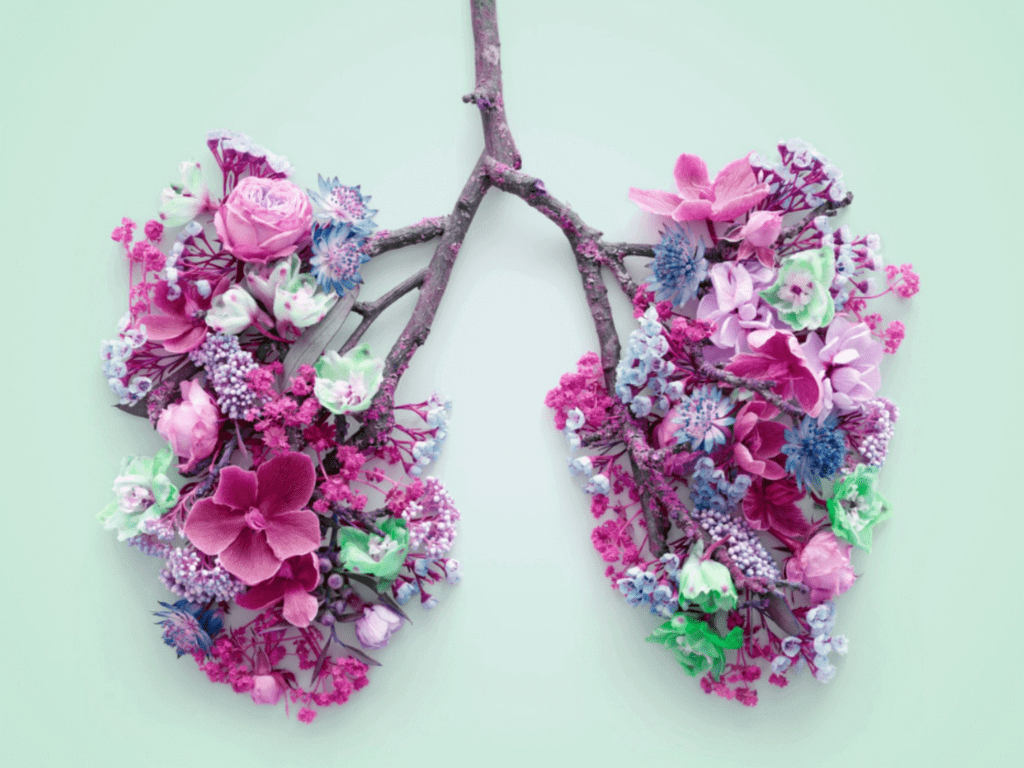 Lungs Poster 1024x768